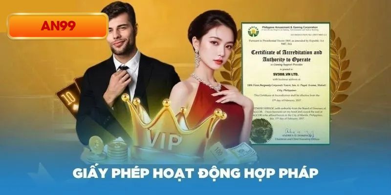 Tìm hiểu về nội dung giấy phép hoạt động An99